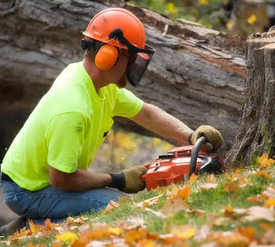 tree services Sullivan